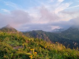CDG15 &raquo; Paysage du Cantal